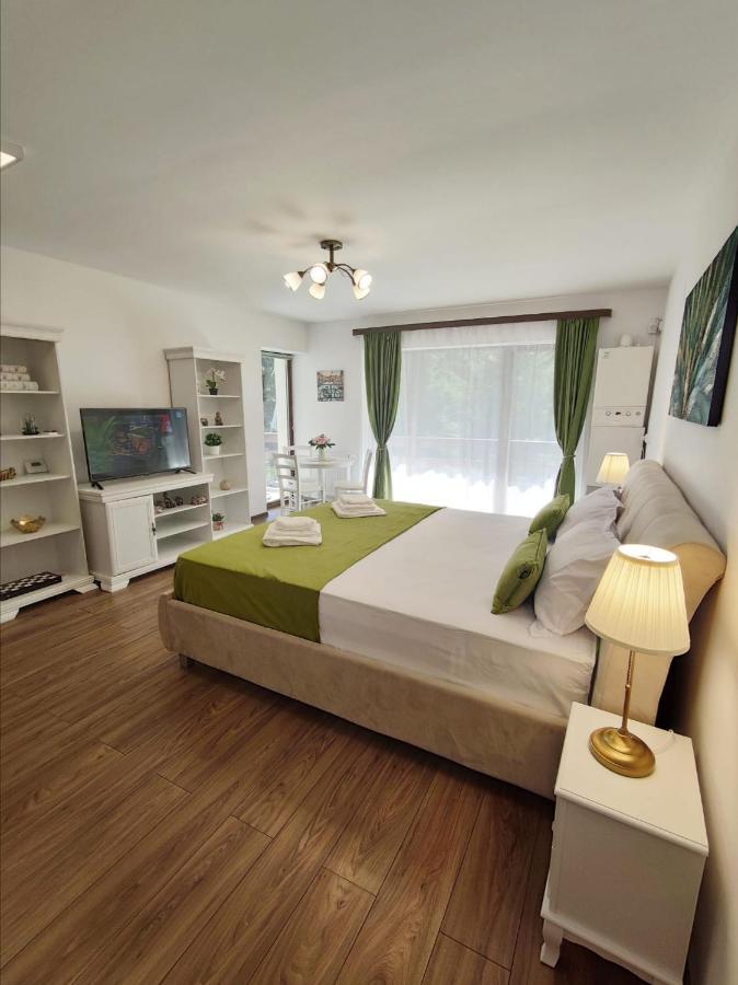 Green Studio Predeal Buitenkant foto