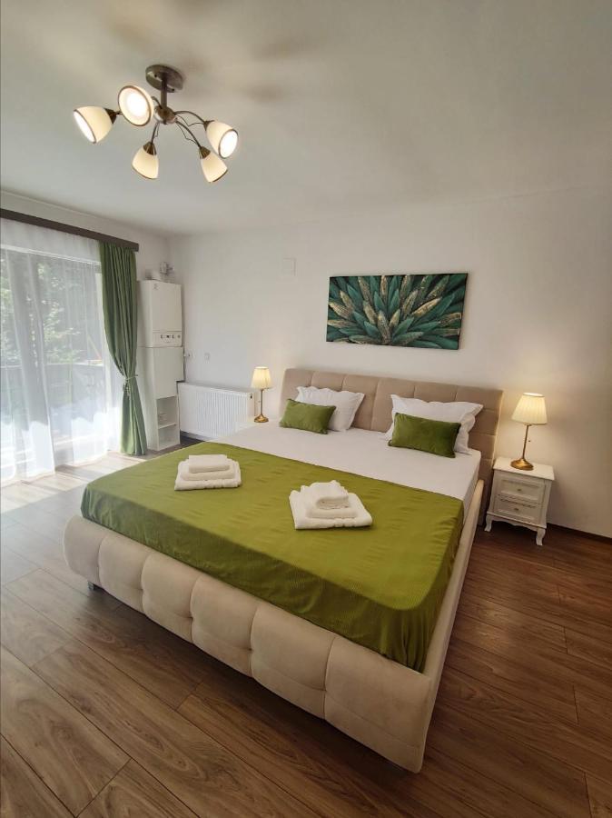 Green Studio Predeal Buitenkant foto