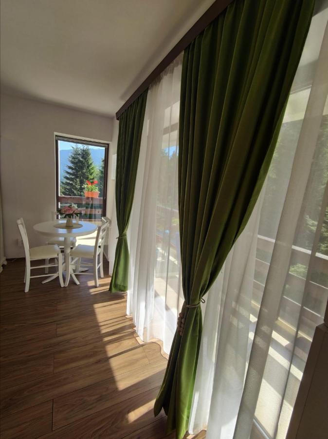 Green Studio Predeal Buitenkant foto
